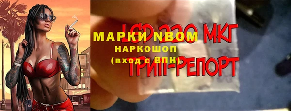 прущие грибы Белоозёрский